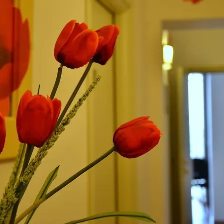 Bed & Breakfast Le Quattro Fontane Gravina in Puglia